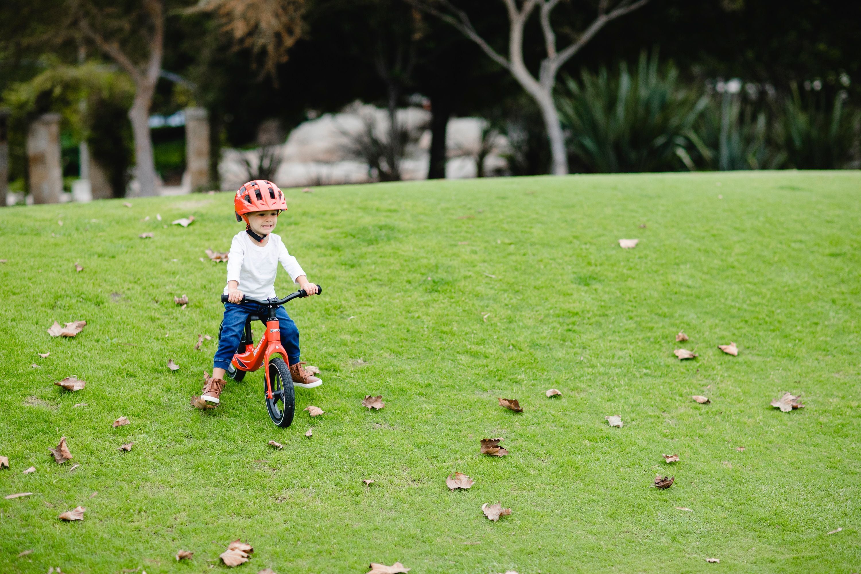 Bikes, Trikes & Toy