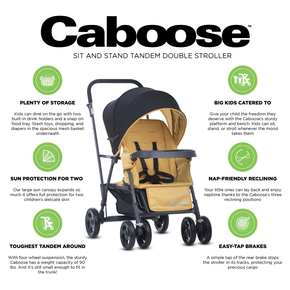 Joovy caboose appletree hotsell