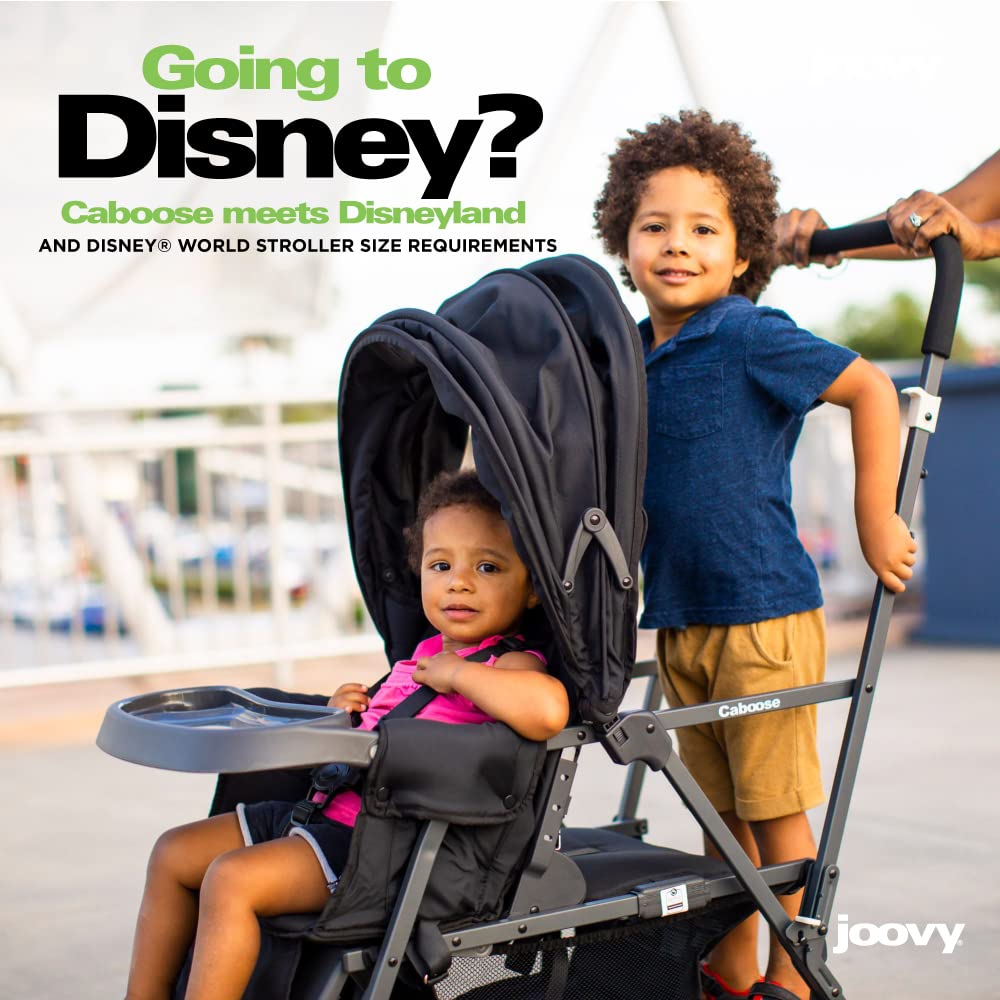 Joovy sit n stand double stroller online